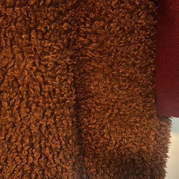 Endless Rose Colorblock Coat - Picture 8 of 10